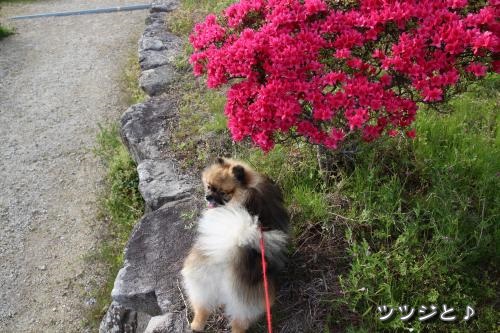 20130421pm-10.jpg