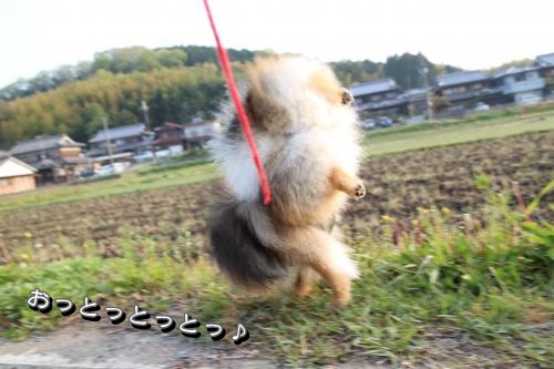 20130426-2.jpg