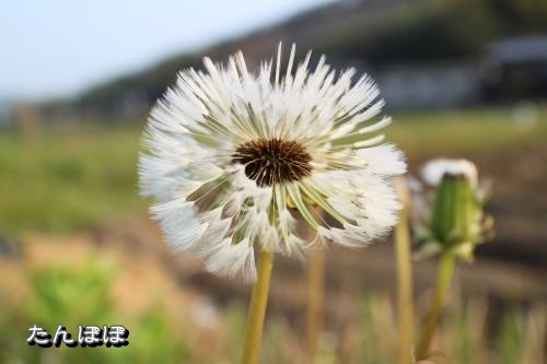 20130426-5.jpg