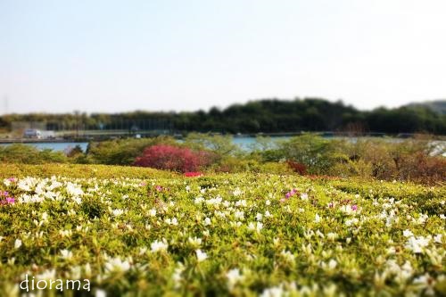 20130426jio-1.jpg
