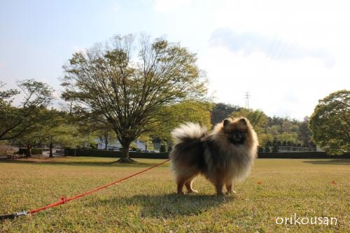 20130426pm-5.jpg