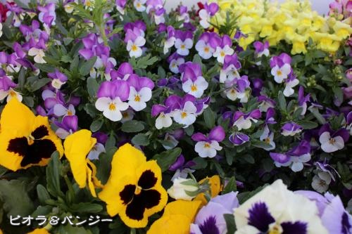 20130426pm-6.jpg