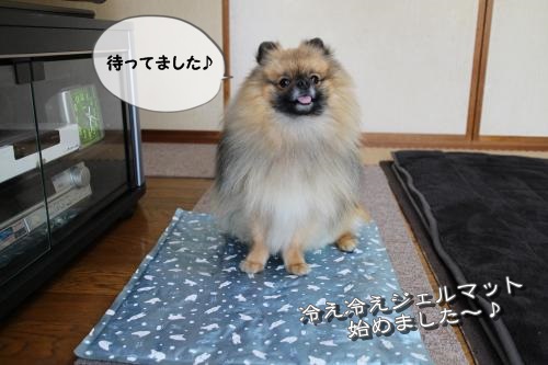 20130428-1.jpg