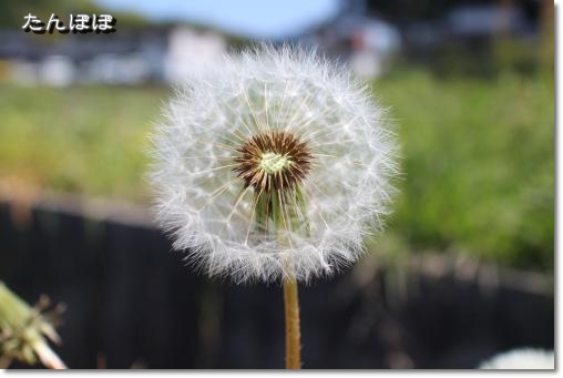 20130428-7.jpg