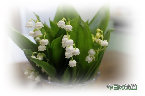 20130428-8.jpg