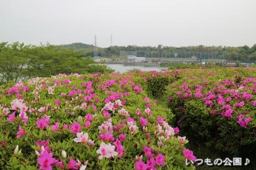 20130430-1.jpg