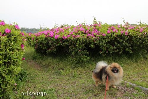 20130430-2.jpg