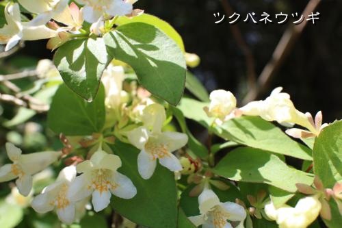 20130430-4.jpg