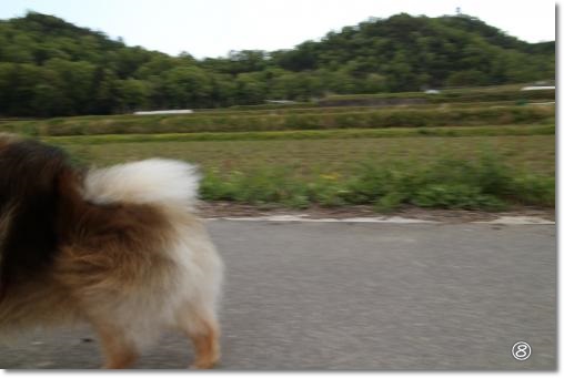 20130503-2-8.jpg