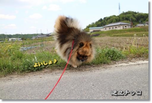 20130503-3.jpg