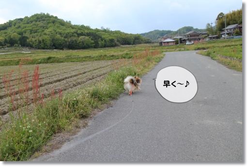 20130503-7.jpg