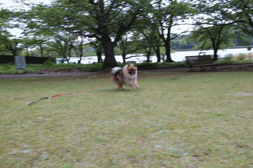 20130503アニメ-2