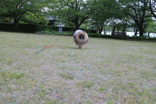 20130503アニメ-3