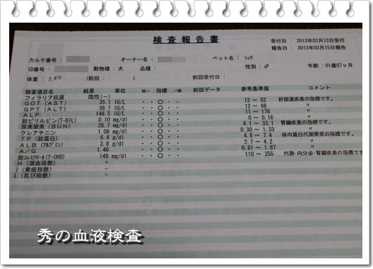 20130519-6.jpg
