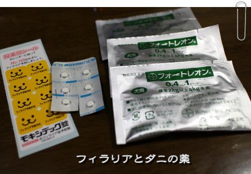 20130519-7.jpg