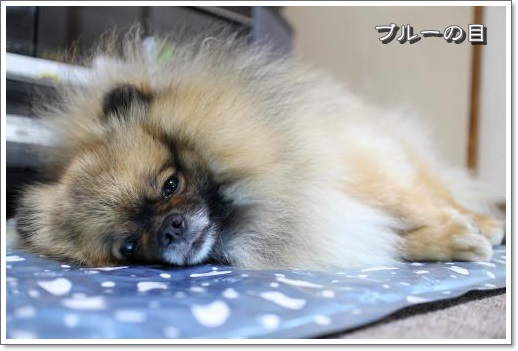 20130519-9.jpg