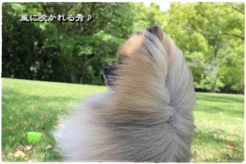 20130525-12.jpg