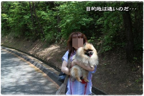 20130525-17.jpg