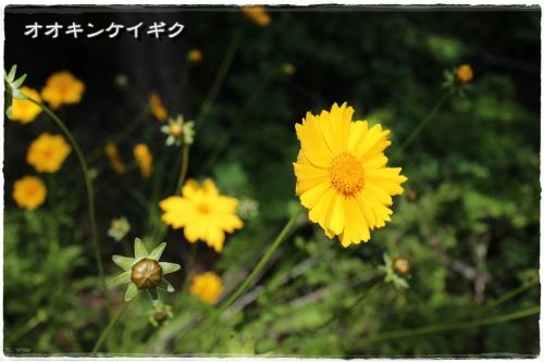 20130525-18.jpg