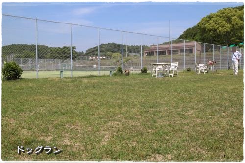 20130525-28.jpg