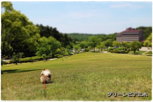 20130525-3.jpg