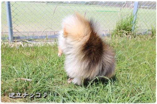 20130525-30.jpg
