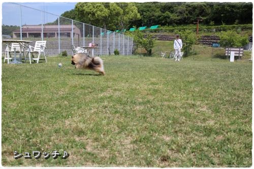 20130525-36.jpg