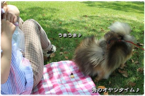 20130525-6.jpg
