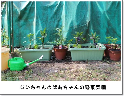 20130526-1.jpg