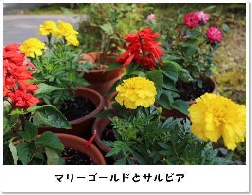 20130526-7.jpg