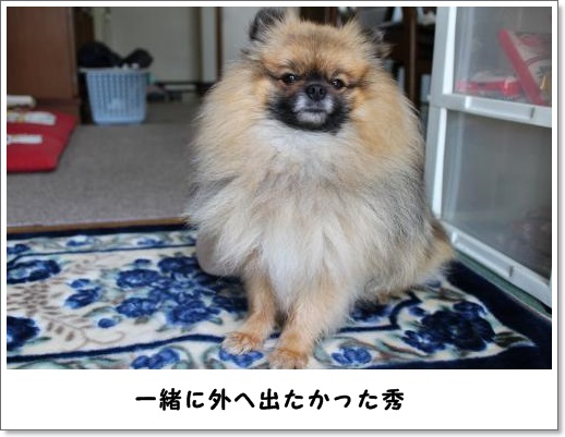 20130526-8.jpg