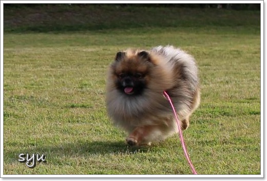 20130526run-1.jpg