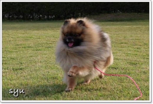 20130526run-5.jpg