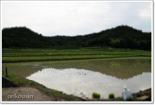 20130602-3.jpg