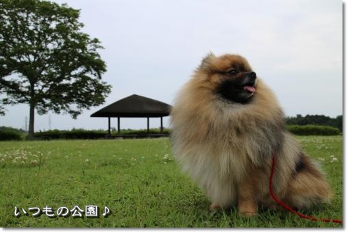 20130602-8.jpg