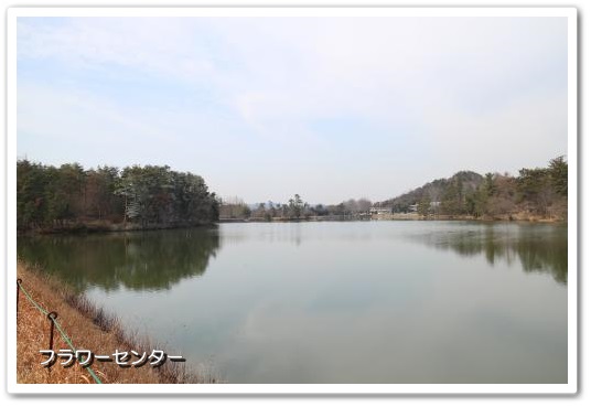 20140201-11.jpg