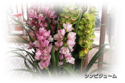 20140201-13.jpg