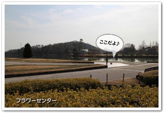 20140201-2.jpg
