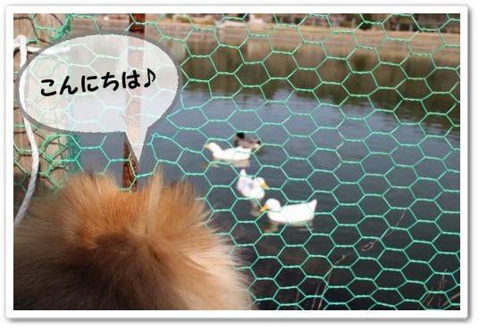 20140201-3.jpg