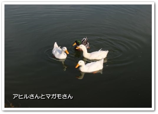 20140201-4.jpg