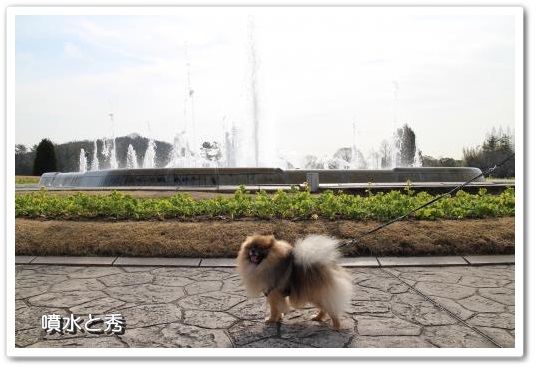 20140201-7.jpg