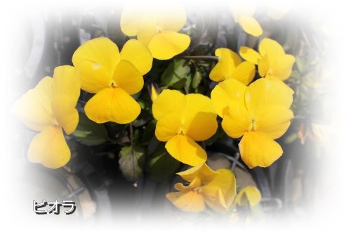 20140201-8.jpg