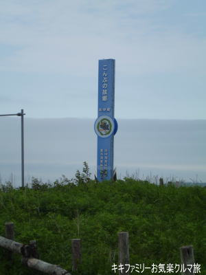 k-2012-7-13-21.jpg