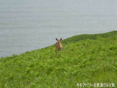 k-2012-7-13-24.jpg