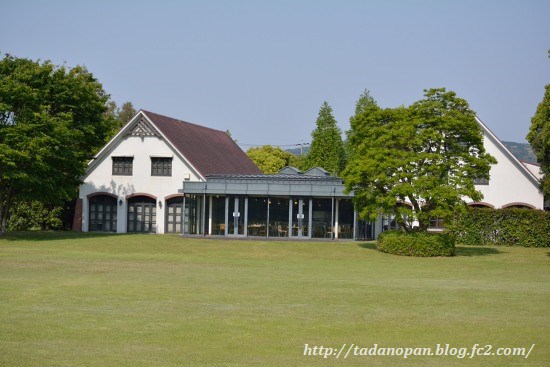 DSC_0411sun.jpg
