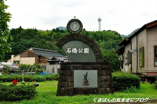 Nikon_20130629_165009.jpg
