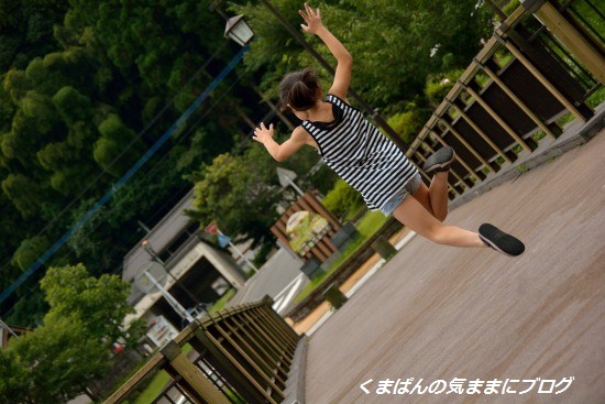 Nikon_20130629_170227.jpg