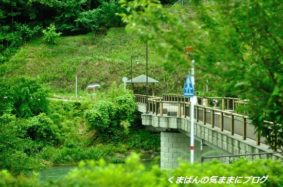 Nikon_20130629_172448.jpg