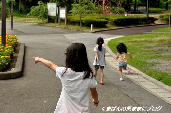 Nikon_20130630_142032.jpg