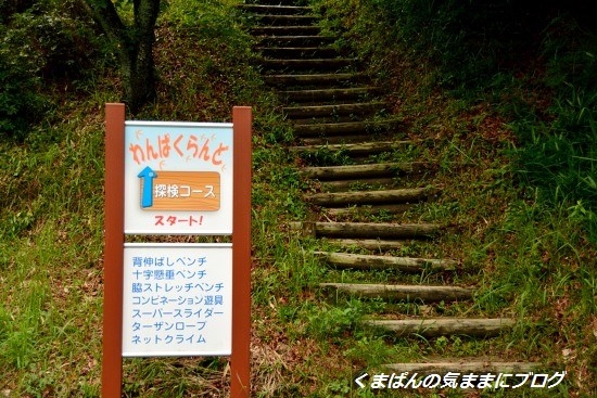 Nikon_20130630_144734.jpg